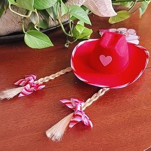 Rubies Dog 🐕 Cowgirl Rodeo Hat with Braids Costume Cat